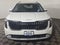 2025 Kia Carnival Hybrid EX