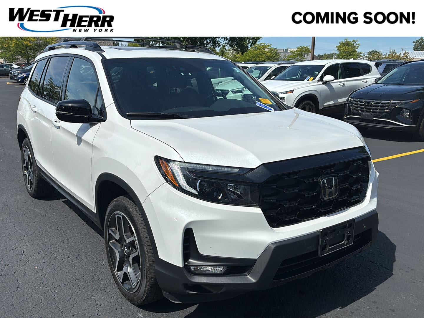 2023 Honda Passport Elite