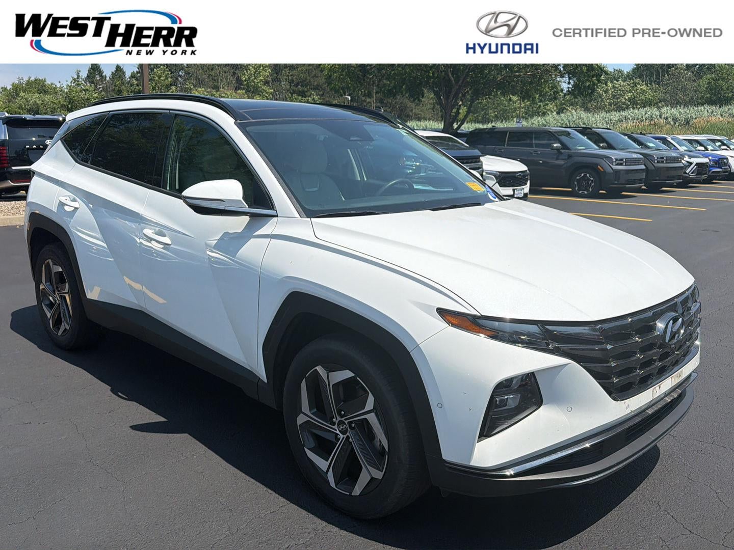 2024 Hyundai TUCSON Limited