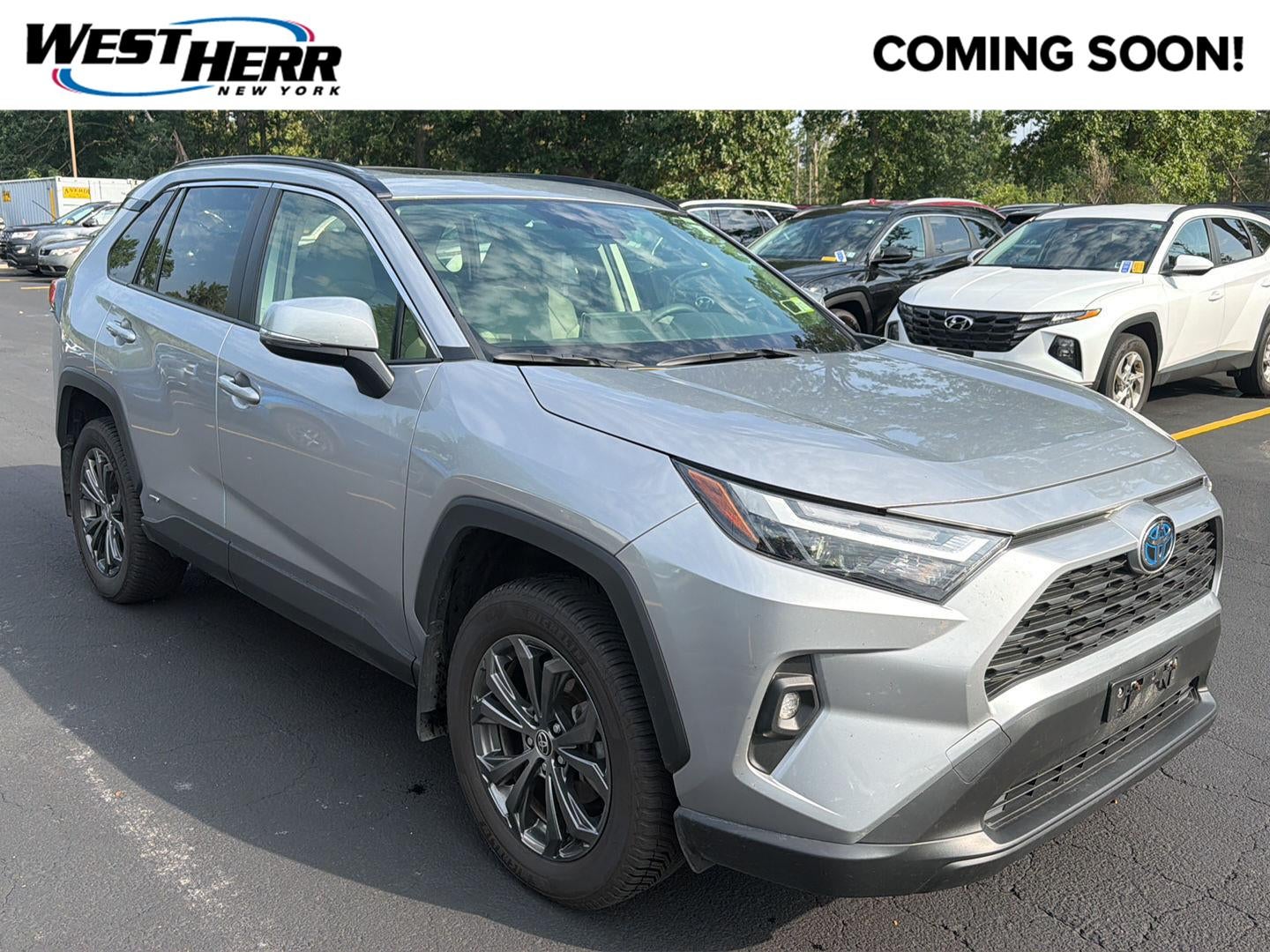 2024 Toyota Rav4 Hybrid XLE Premium