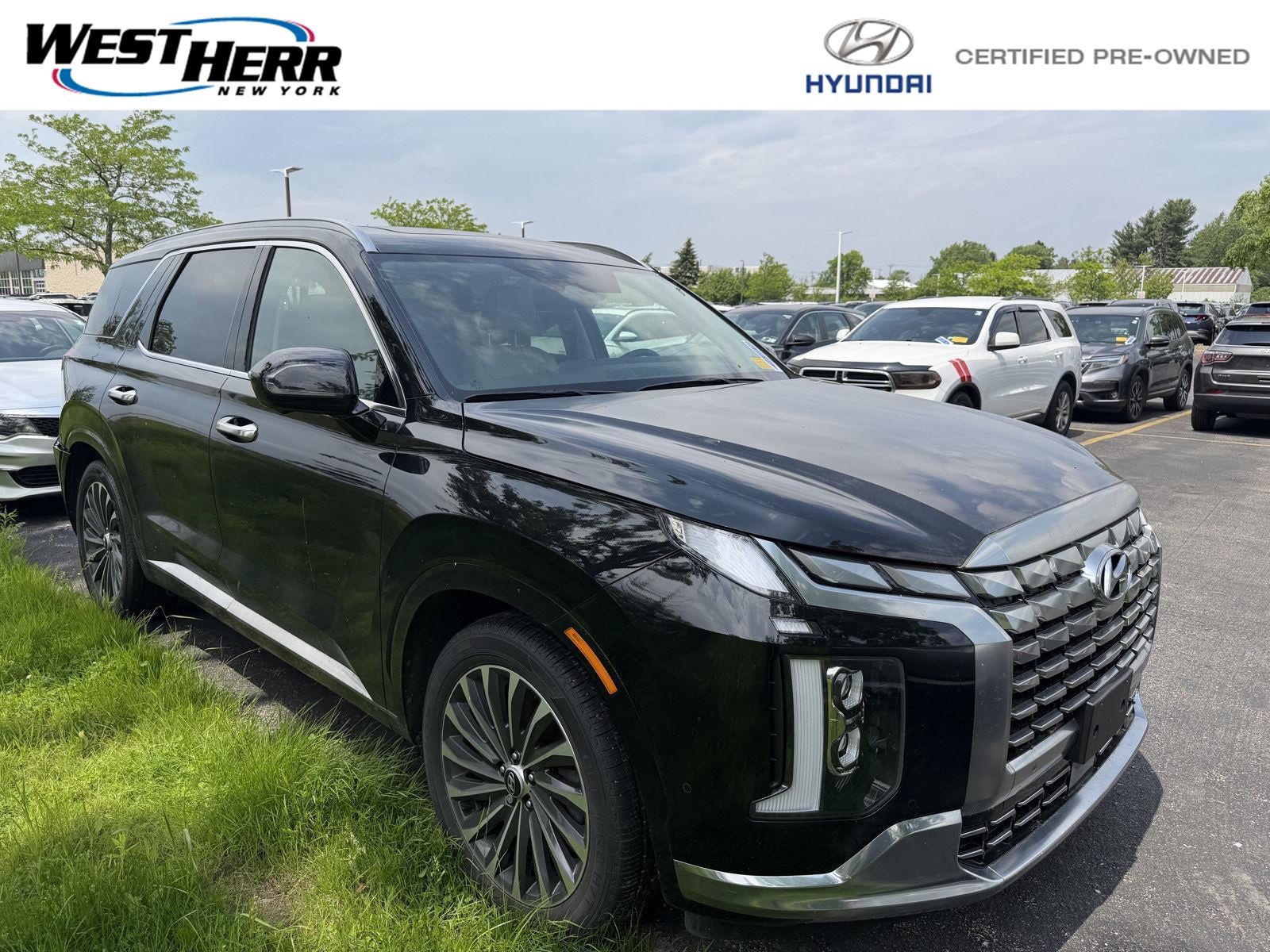 2024 Hyundai PALISADE Calligraphy