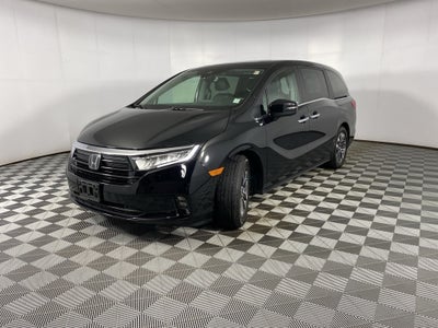 2024 Honda Odyssey EX-L