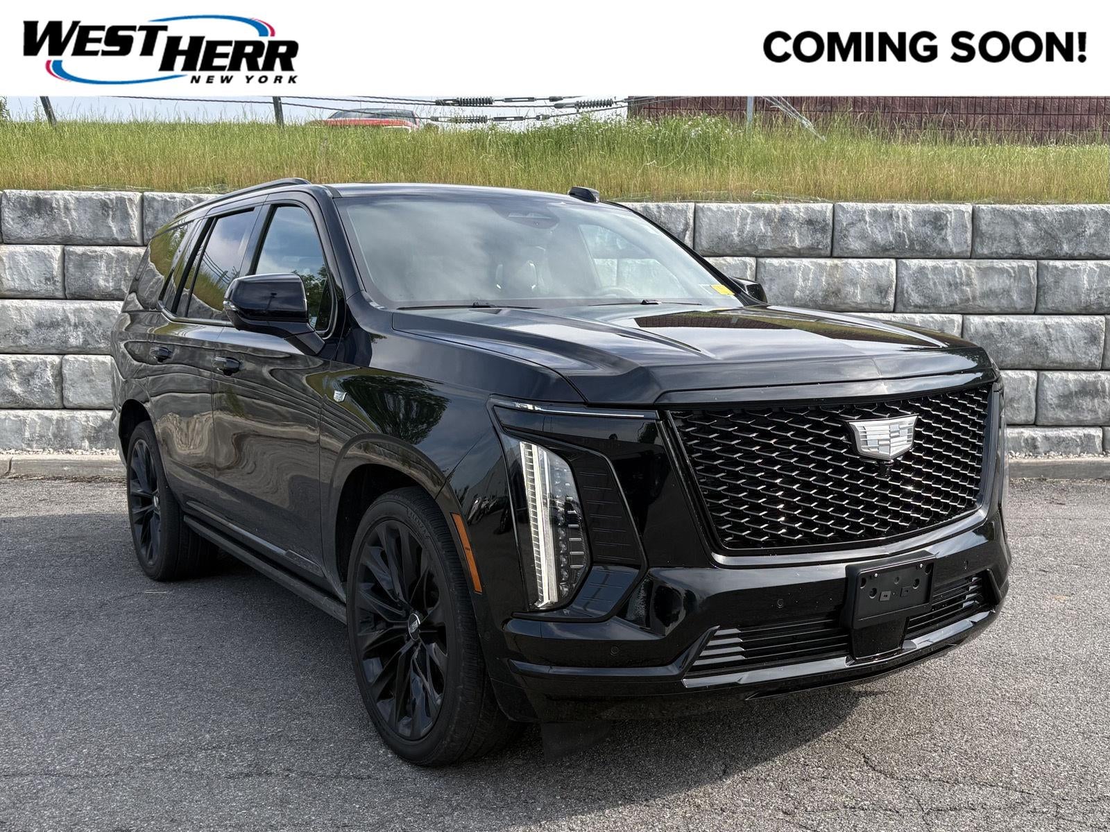 2025 Cadillac Escalade 4WD Sport Platinum