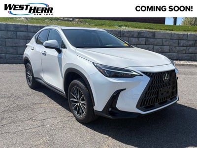 2025 Lexus NX 350h Premium