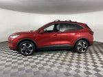 2025 Ford Escape Hybrid ST-Line Select