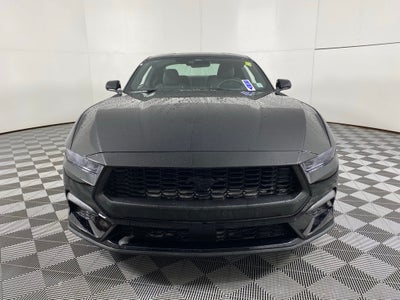 2025 Ford Mustang EcoBoost