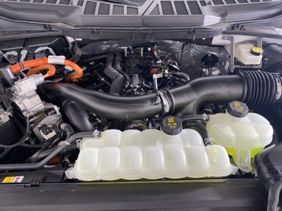 2025 Ford F-150 XLT SuperCrew