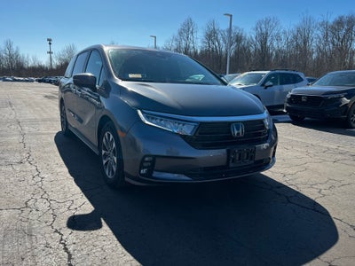 2023 Honda Odyssey EX-L
