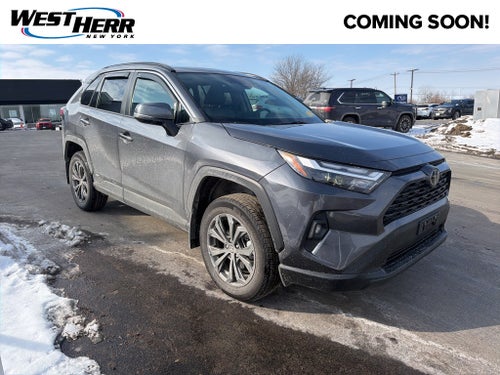 2025 Toyota RAV4 Hybrid XLE Premium