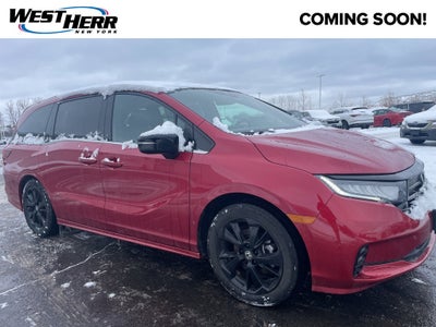 2024 Honda Odyssey Sport
