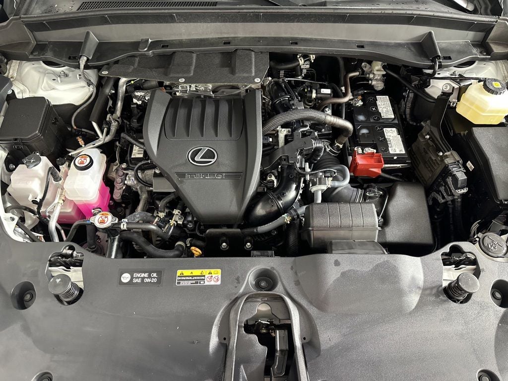 2025 Lexus TX 350 Premium