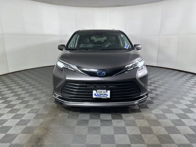 2023 Toyota Sienna XLE 7 Passenger