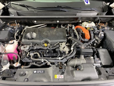 2019 Toyota RAV4 Hybrid XLE