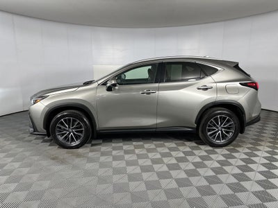 2025 Lexus NX 350 Premium